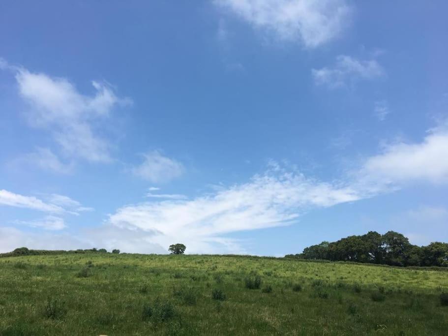Park Gate House Farm Holidays, Colyton-'Elizabeth المظهر الخارجي الصورة